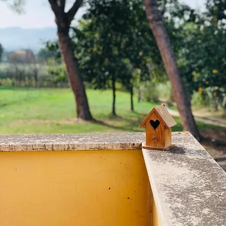 Il Nido Nel Verde Appartamento Costano